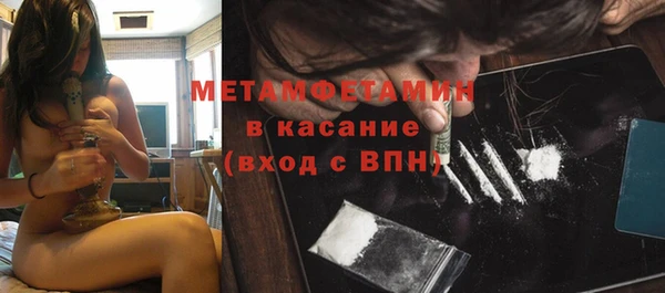 сатива Горнозаводск