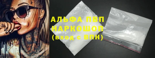 ПСИЛОЦИБИНОВЫЕ ГРИБЫ Вяземский