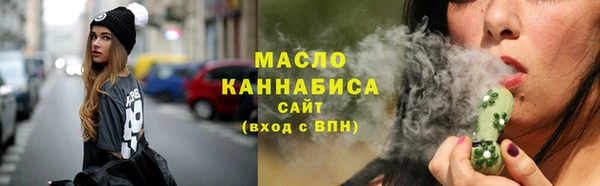 гидра Горняк