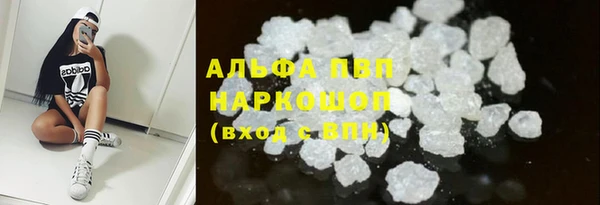 сатива Горнозаводск
