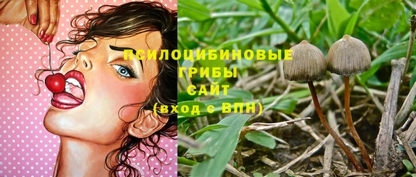 ПСИЛОЦИБИНОВЫЕ ГРИБЫ Вяземский