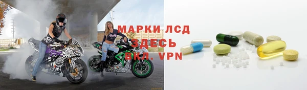 ПСИЛОЦИБИНОВЫЕ ГРИБЫ Вяземский