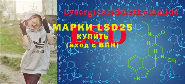 PSILOCYBIN Вязьма