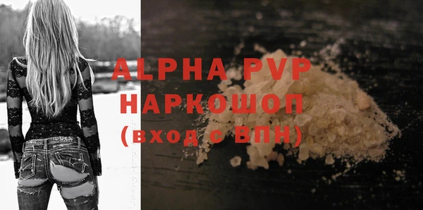 гидра Горняк